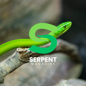 Serpent Magazine – The Knowledge Issue